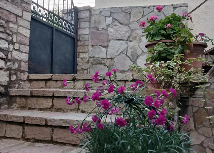 Eniguesthouse *
